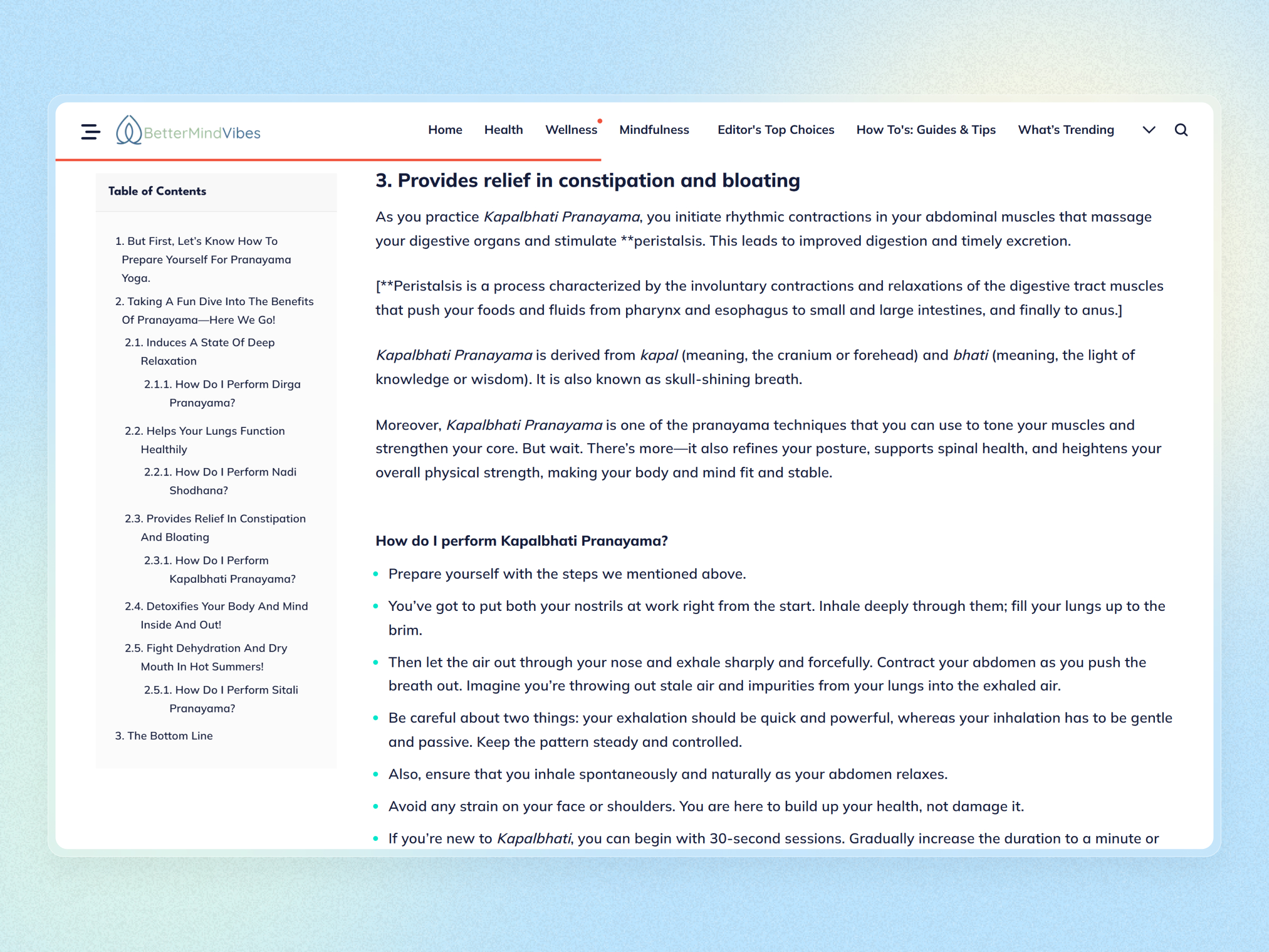 Better Mind Vibes Blog Website | Craftnotion